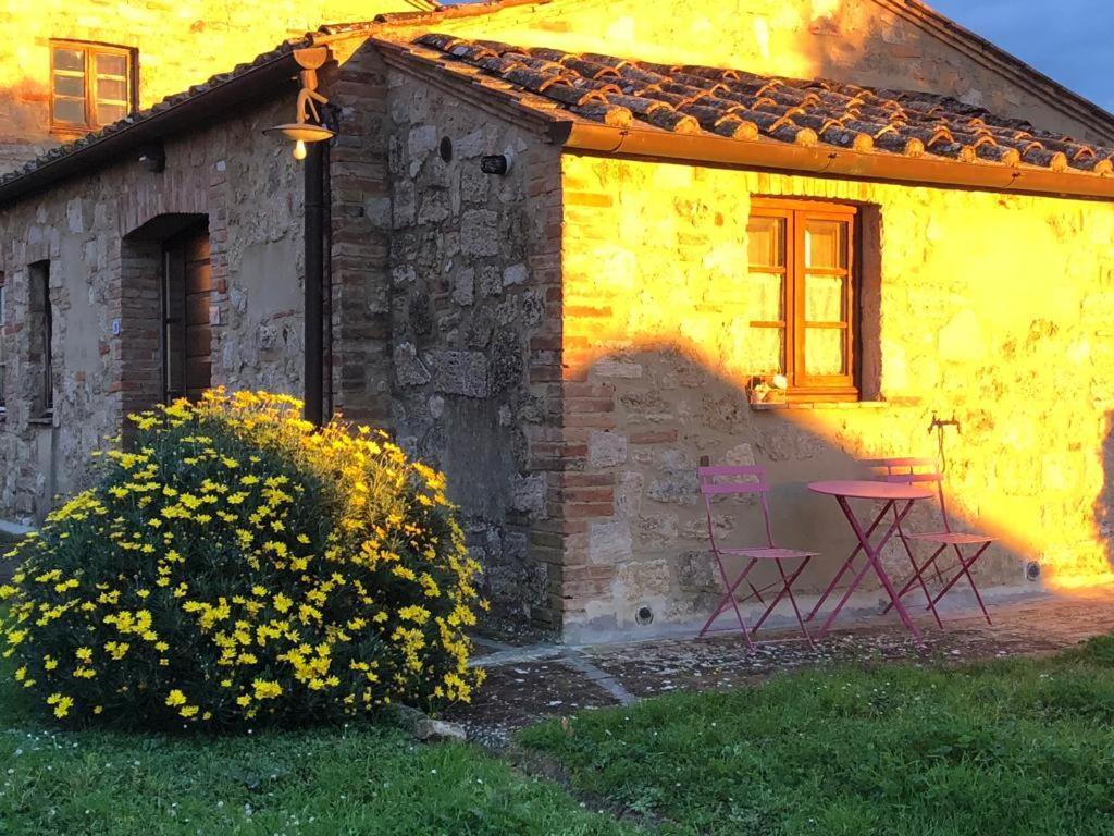Casa Country House Girasole Vakantie Huis-Wakacje Huis Asciano Exterior foto